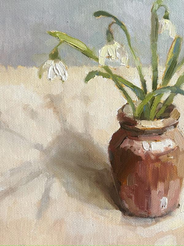 Snowdrops and shadows